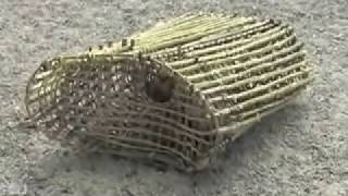 Marshall Islands - Glimpses of Utrik Atoll