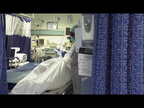 New York COVID 19 Latest