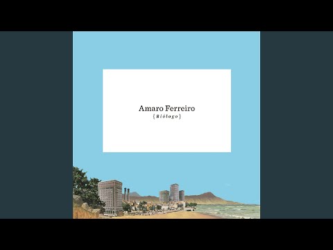 Vacaciones video