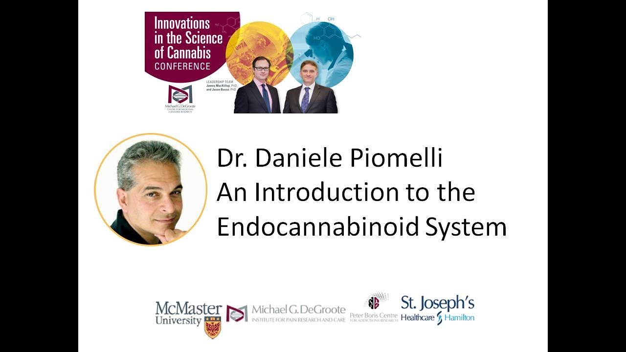 An introduction to the endocannabinoid system