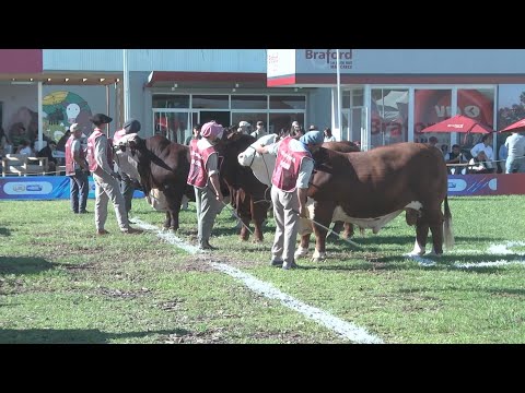 Informe Rural TV-251013 Expo Primavera Braford en Margarita Belén -    Chaco
