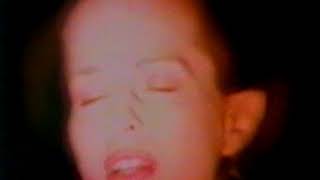 Golden Palominos   1994   Prison to the Rythm video