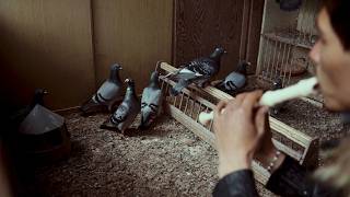 Video thumbnail image
