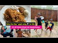 Perfect Rainy Day At Home Biryani Cooking Indian Mom In USA ASMR Vlog