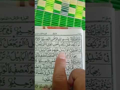 ##Surah Feel# AlQuran beautiful Voice Hafiz ijaz Tilawat Surah feel##beautiful #recitation