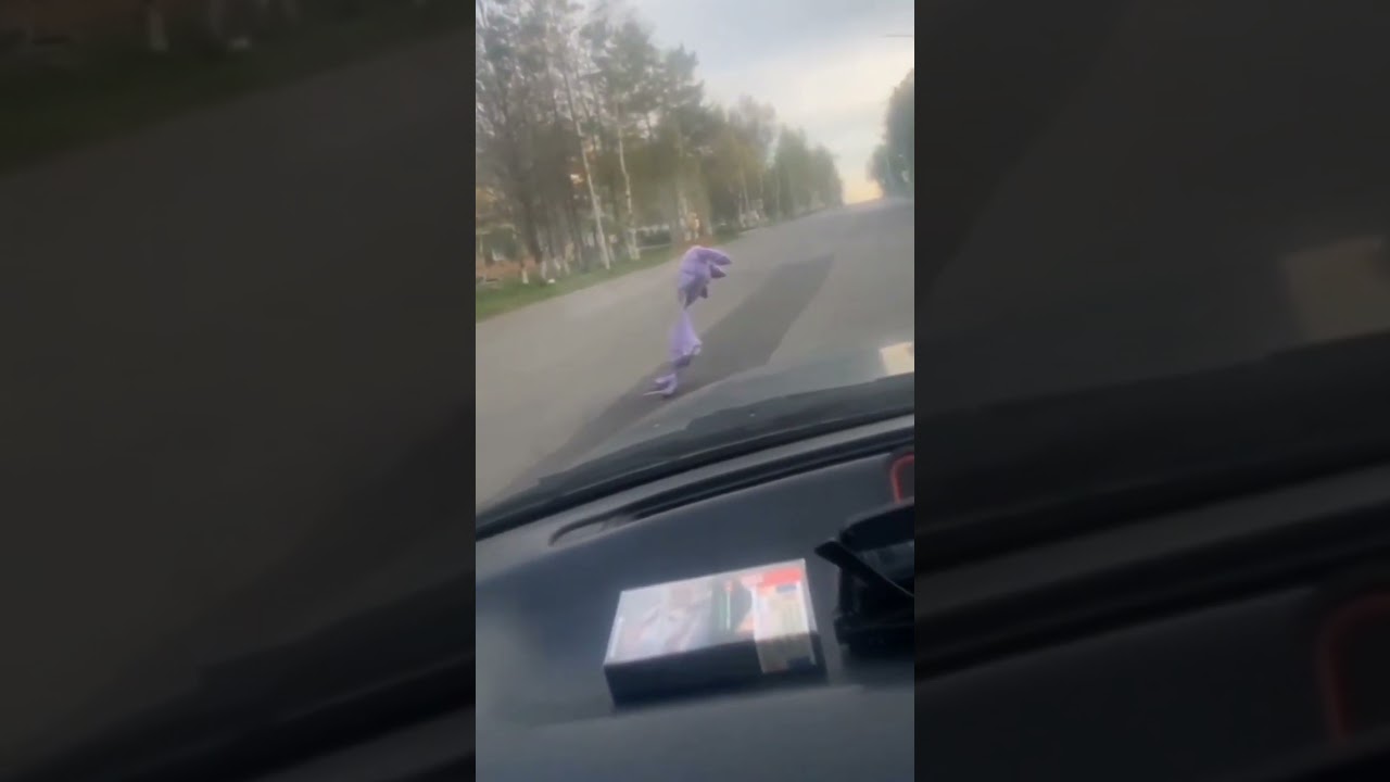 Лунтик на дороге вот это контент