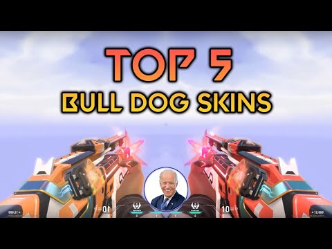 Top 5 BULLDOG Skins in VALORANT