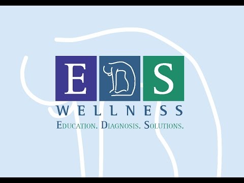 Dr. Alan Pocinki's Presentation at the EDS DC Support Group Meeting (March 2017) - EDS Wellness