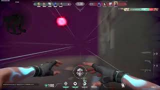 Spotlight Clip