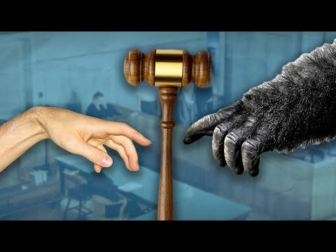 What REALLY Happened At The Scopes Monkey Trial | Encyclopaedia Britannica