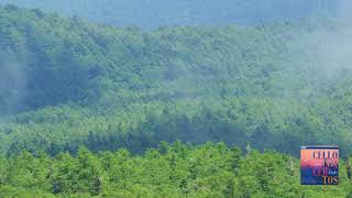 Download lagu Elgar : Cello Concerto in E minor, Op.85 / Noras, Saraste 1993 mp3