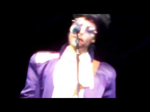 Purple Reign - Prince Tribute