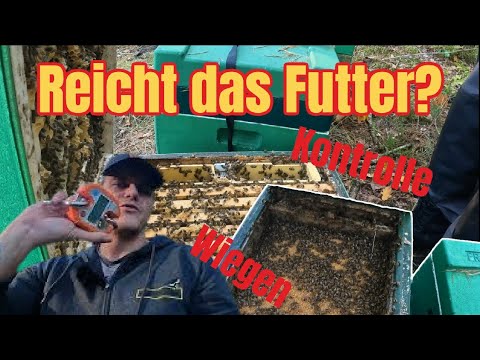 , title : 'Reicht das Futter für den Winter? - Kontrolle und Vorgehensweise - Bienenvölker wiegen.'