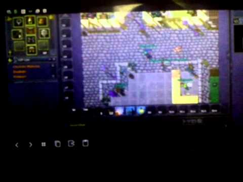 tibia pc online