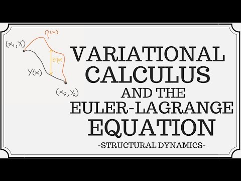 image-What are the Euler-Lagrange equations?