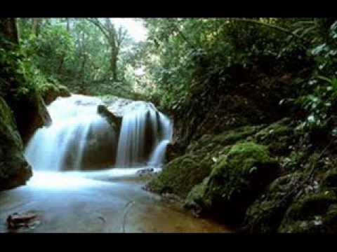 Marcelo D2 and Claudia Desabafo Deixa eu Dizer