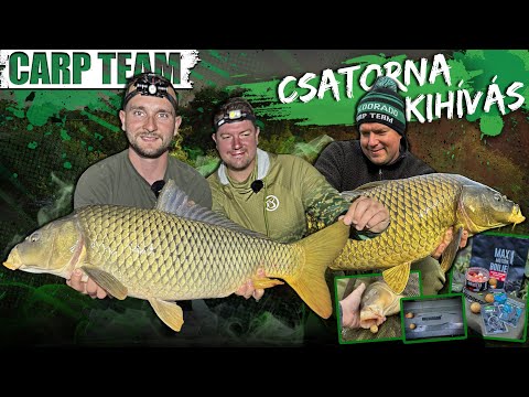 Rokolya Péter - Csatorna kihívás 