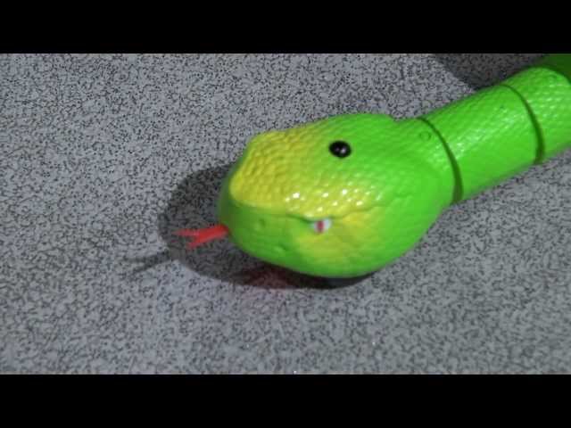 Vídeo relacionado con Bristol Novelty AK043 Serpiente grande de goma, multicolor, Talla única (AK043) Halloween