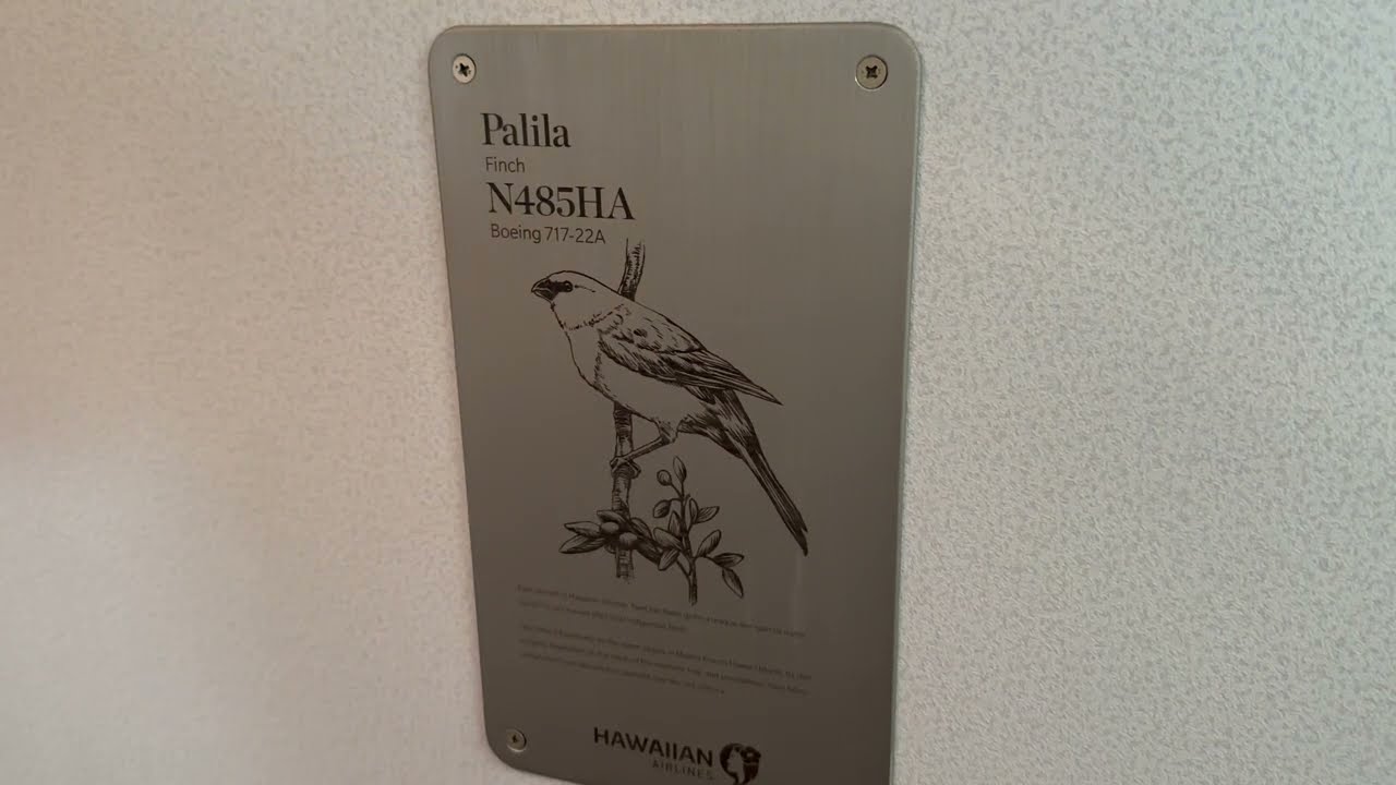 Hawaiian Airlines Premier Club Lounge thumbnail