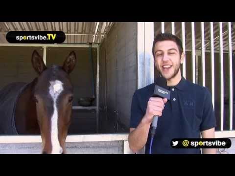 Polo Novice To Polo Pro In One Day