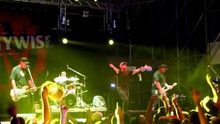 Pennywise - Stand By Me + Bro Hymn