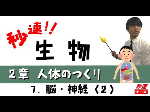 看護学科 【秒速ナース】2-7脳 神経2【生物-授業動画】