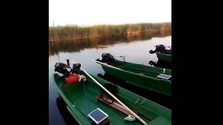 Рыбалка на дунае в болгарии или румынии