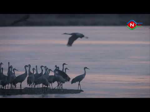 Həsrət dolu söz - 26.10.2022