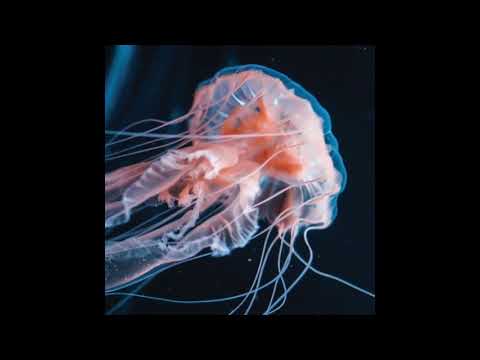 nthng - Atom [TAR006]