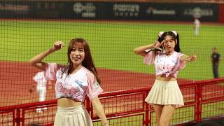 【台湾チア】20240419 Dragons tempo　#心璇 #小娃 #小籠女 #味全龍 #味全龍啦啦隊#dragonbeauties小龍女