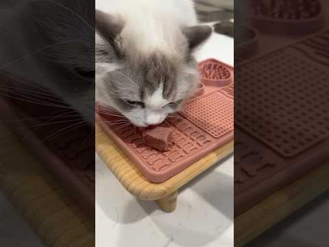 I hope Luna never changes ♥️