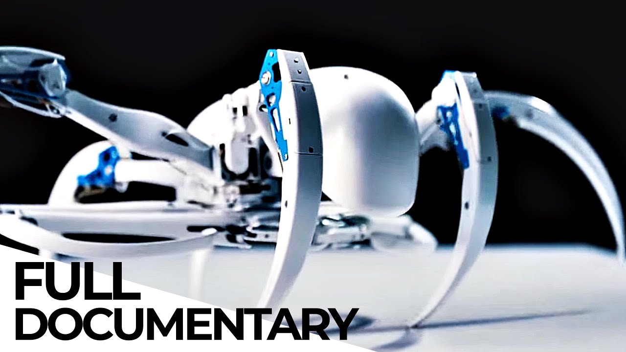 Robo Dogs, Robo Spiders: Modern Robotic Engineering based on Animals