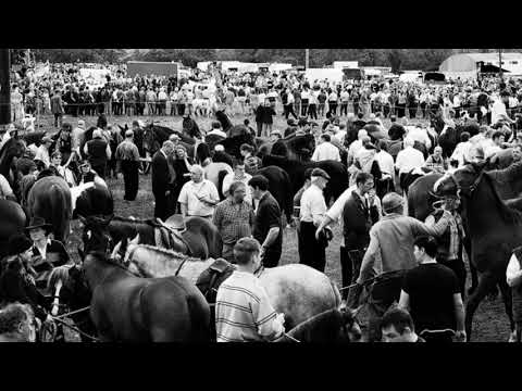 Robbie McMahon's Definitive Spancil Hill