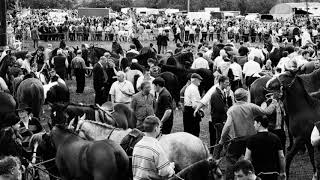 Robbie McMahon&#39;s Definitive Spancil Hill