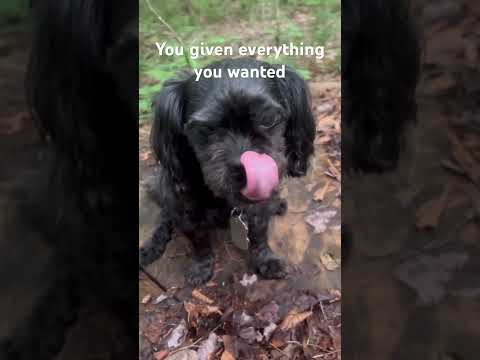 Happy birthday to my older sister Marissa #happybirthday