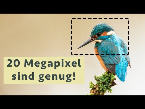 20 Megapixel reichen! - Warum du keinen höher auflösenden Sensor an deiner Kamera brauchst