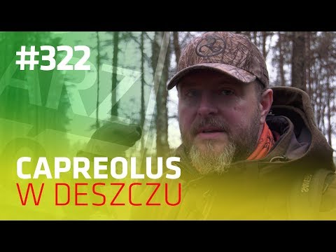 Darz Bór odc 322 - Capreolus w deszczu