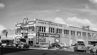 Big Joe Williams Texas Blues (1960)