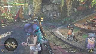 【Monster Hunter Wilds】★10ププロフェイクα、フルドレスαを入手するぞー【サークル】