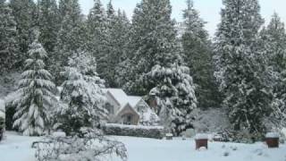 2008 Winter Wonderland