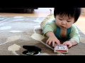 MVI 3651 MOV
