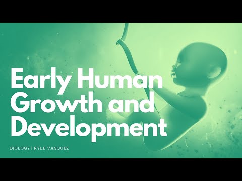 Early Human Growth and Development
