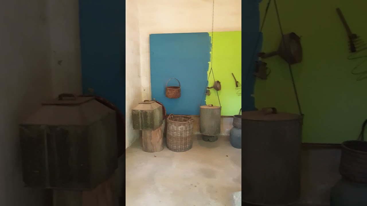 YouTube Short thumbnail