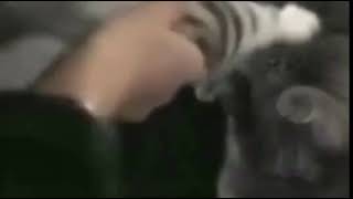 「可愛すぎるリアクションをご覧下さいｗｗ」