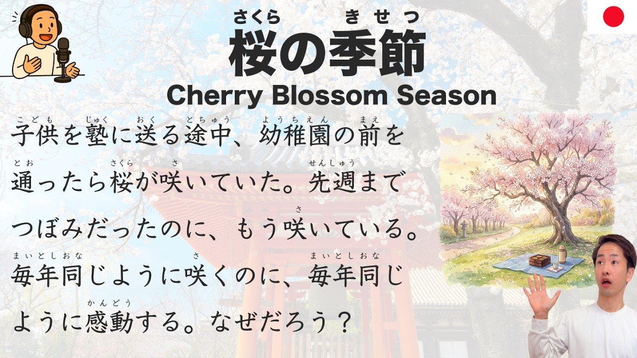 【Japanese Podcast】桜の季節 — A Japanese Guide to Hanami, Sakura & Spring