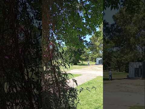 Parque Batlle Montevideo.