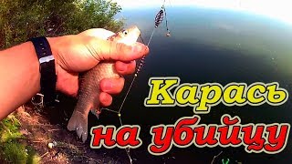 Дома для ловля карася на фидер