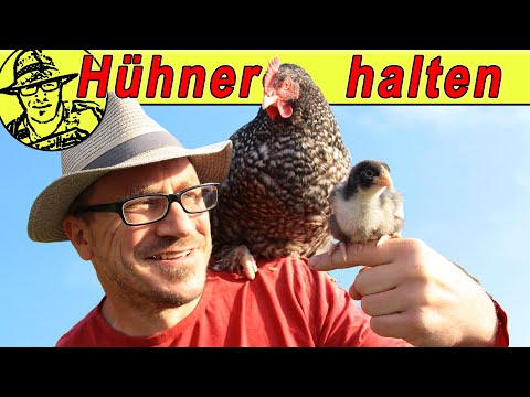 , title : 'Großes Hühnervideo für Selbstversorger: Gesunde Hühner sind glückliche Hühner'