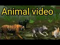 Blippi Visits A Bear At The Nature Center Animal Videos For Kids Kids Kidsvideo Animation Kid