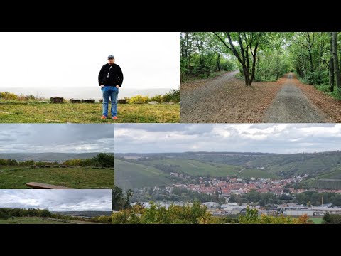 Lebensraum am Rande der Stadt Würzburg Heuchelhof Das Maintal mit Panoramablick, der Naturwanderweg